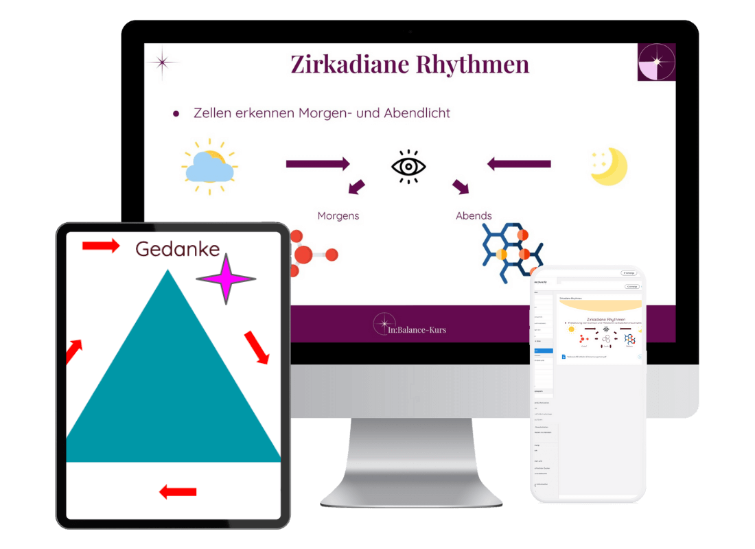 Mock up Insulinresistenz Coaching für Frauen (1100 x 800 px)
