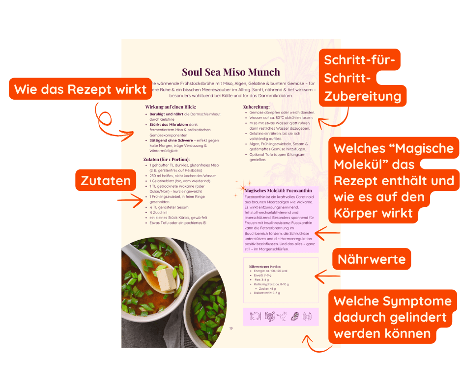 Wie das Rezept wirkt Einblick E-Book "Raus aus der Insulinresistenz - 42 Rezepte nach der PolyPower-Methode fĂŒr deinen Stoffwechsel"